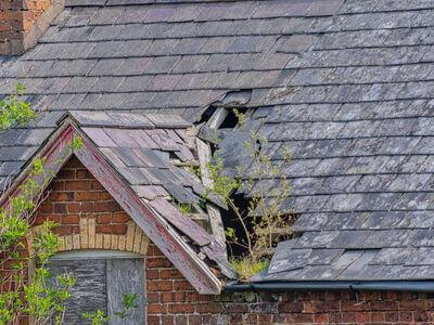 Professional water damage restoration services in Jupiter